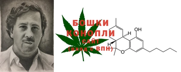 ПСИЛОЦИБИНОВЫЕ ГРИБЫ Армянск