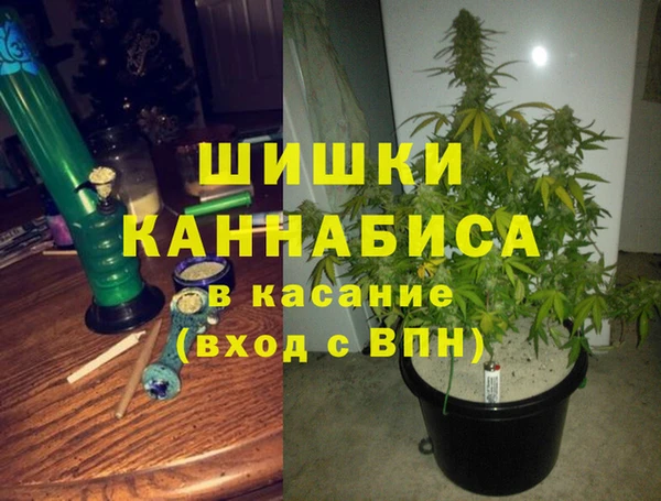 ПСИЛОЦИБИНОВЫЕ ГРИБЫ Армянск