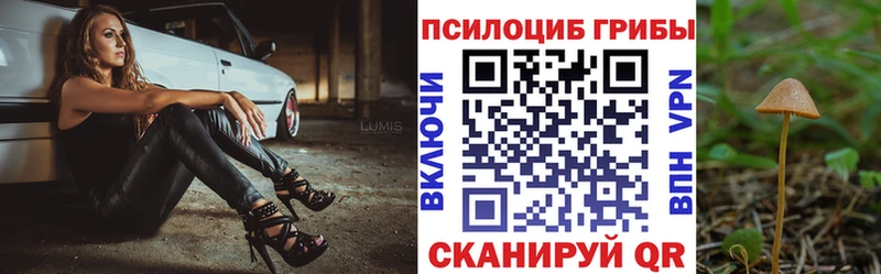 Псилоцибиновые грибы MAGIC MUSHROOMS Никольск